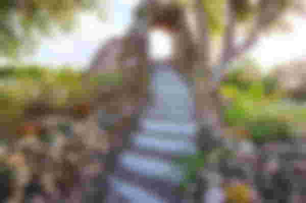 St Kitts & Nevis Holidays 2025/2026 | Trailfinders